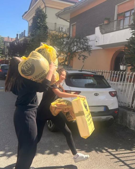 Campo lavoro 24